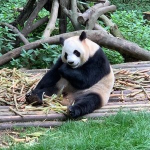 Meet your Posher, Carol